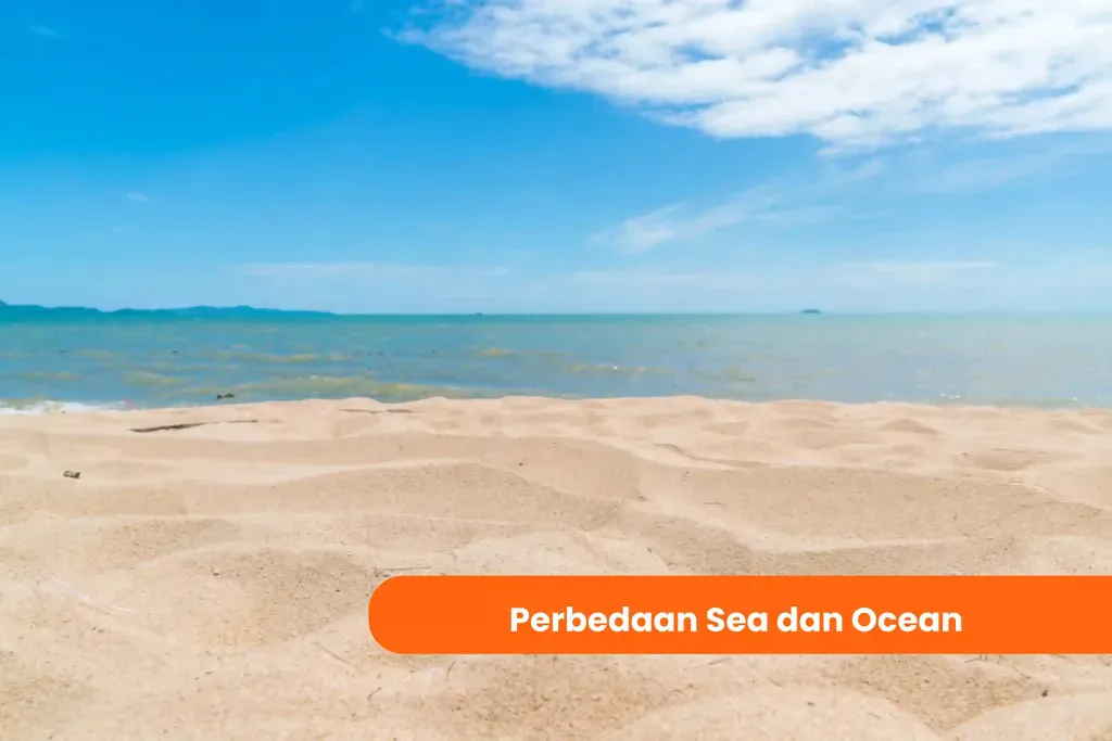Thumbnail artikel perbedaan sea dan ocean. Gambar pantai dan laut.